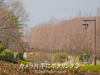 麻溝公園