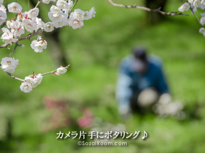 梅林で働くおじさん