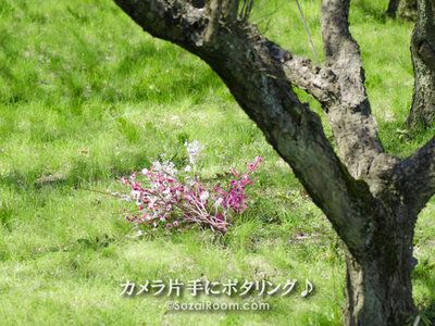 0327-7.jpg