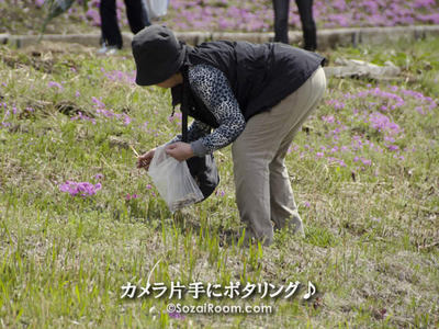 つくしを採るおばちゃん