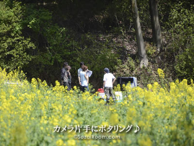 菜の花畑で撮影するクルー